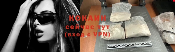 кокс Алексин